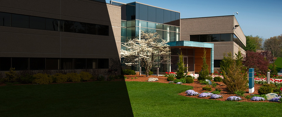 Hilton Head Island Landscapers