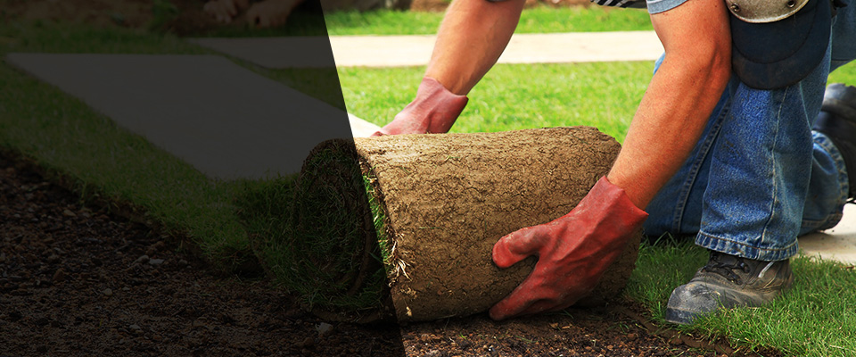 Hilton Head Island Landscapers